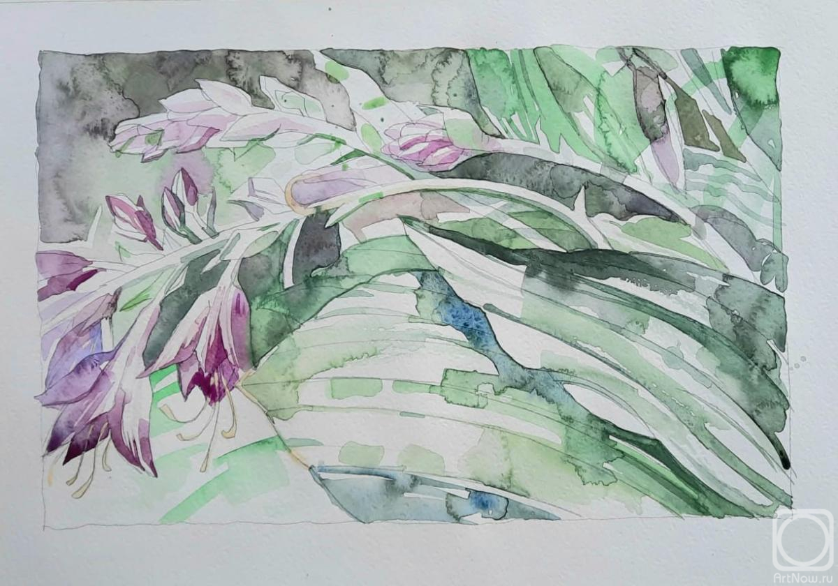 �������. ���������� �����. �����.��������� ����