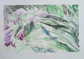 �����.��������� ���� (���������� ���������). ���������� �����