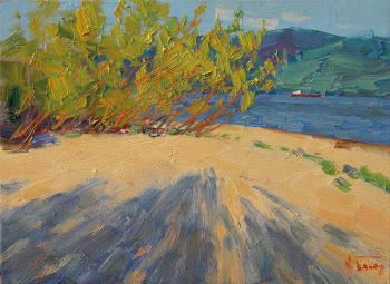 On the Volga evening. Panov Igor