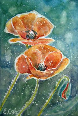 Red Poppies (Red Poppies Art). Savelyeva Elena