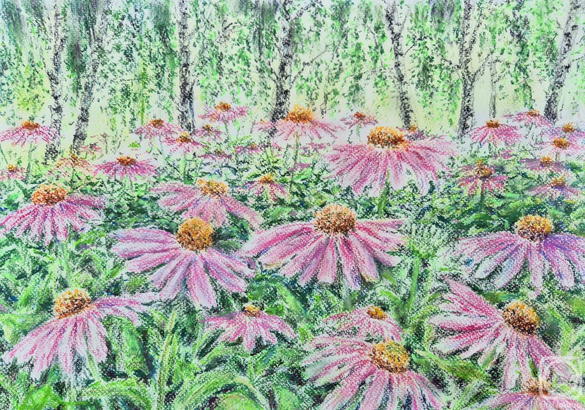 �������. ���������� ���������. �������� � �����