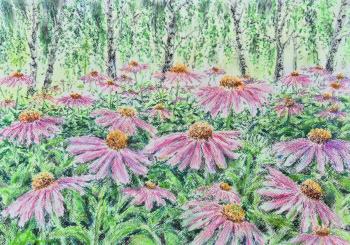 �������� � �����