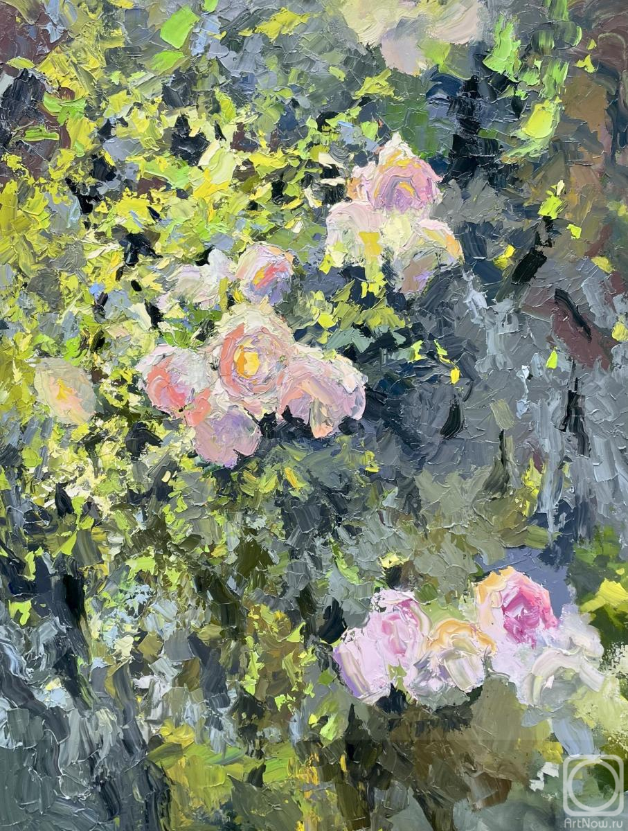 ������� ������ �� ������. ������ �����. ��������. ��������� ����