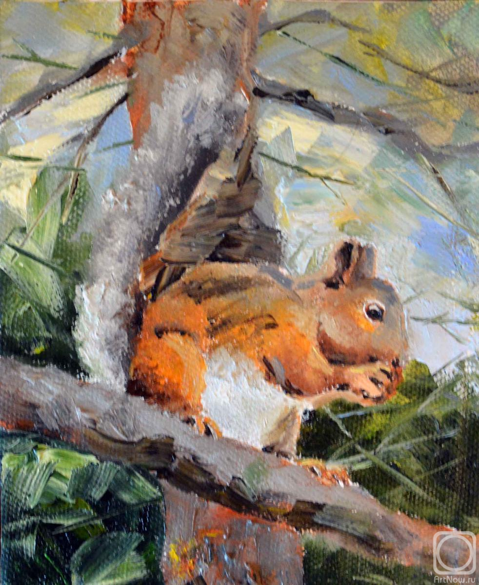 ������� ������ �� ������. �������� �����. ��������� � �������� ������