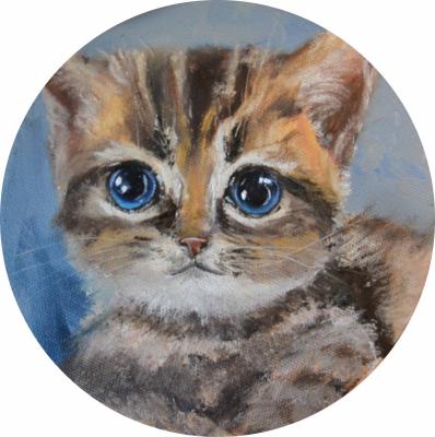 ������� ���� ���������