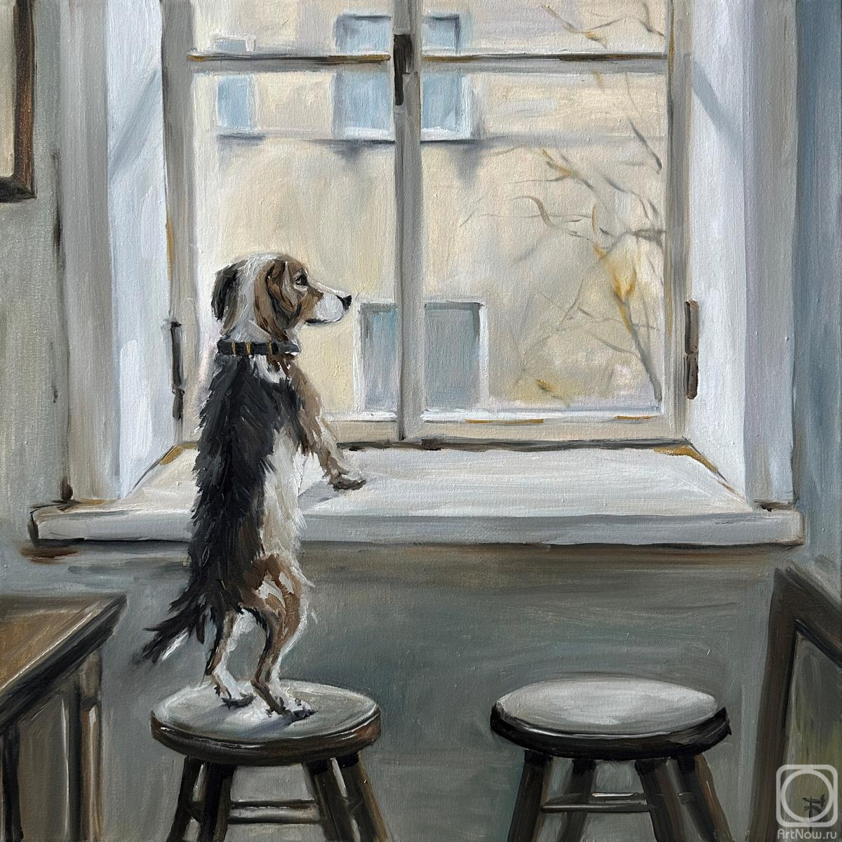 ������� ������ �� ������. ������������� �����. ������ ����