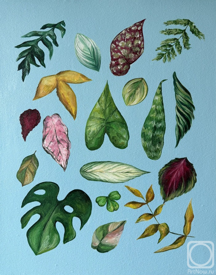 �������. �������� ��������. ��������