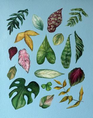 �������� (����������� �����������). �������� ��������