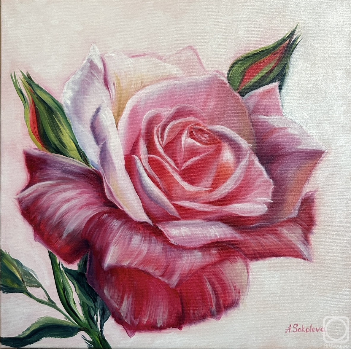 ������� ������ �� ������. �������� ����. ��������