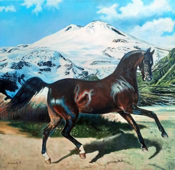 ������� ��������� ������ �� ���� ��������