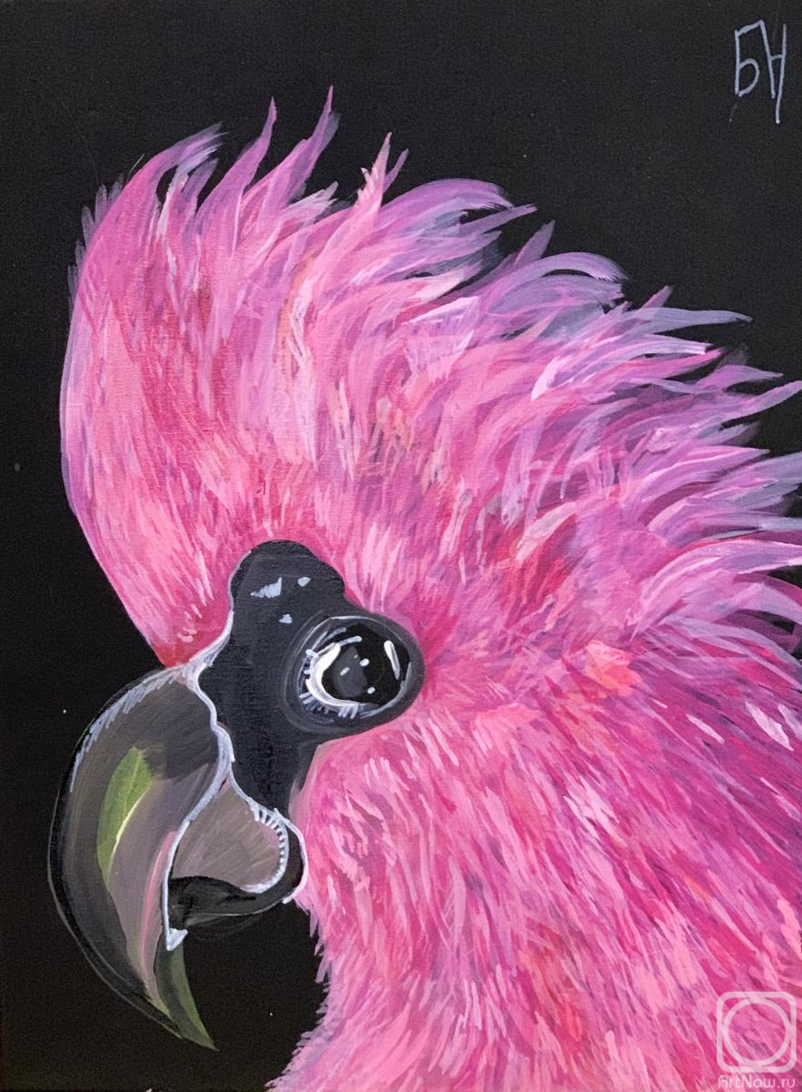 �������. �������� ������. ����������