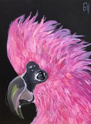 ����������. �������� ������