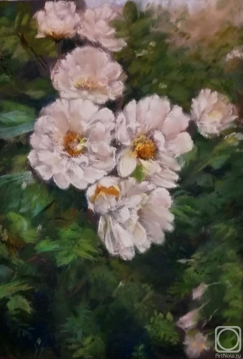 �������. �������� �����. �����