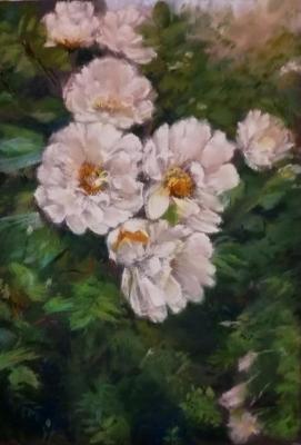 �����. �������� �����