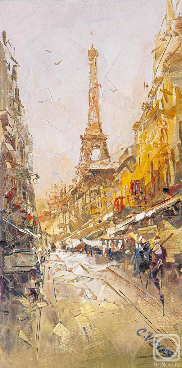 Vevers Christina. In the rhythm of the rain. A walk in Paris