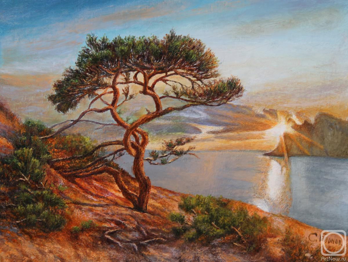 ������� ������ �� ������. ������� ������. ������ �����.�����