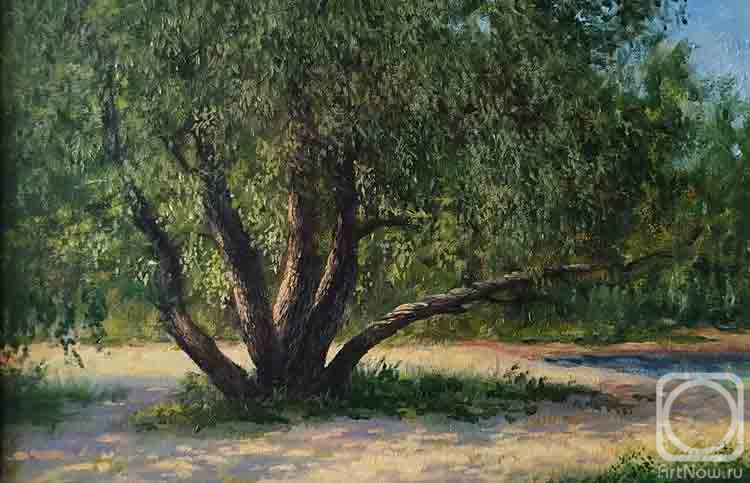 ������� ������ �� ������. �������� ���������. ���