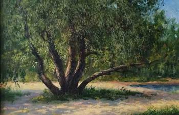 ���. �������� ���������