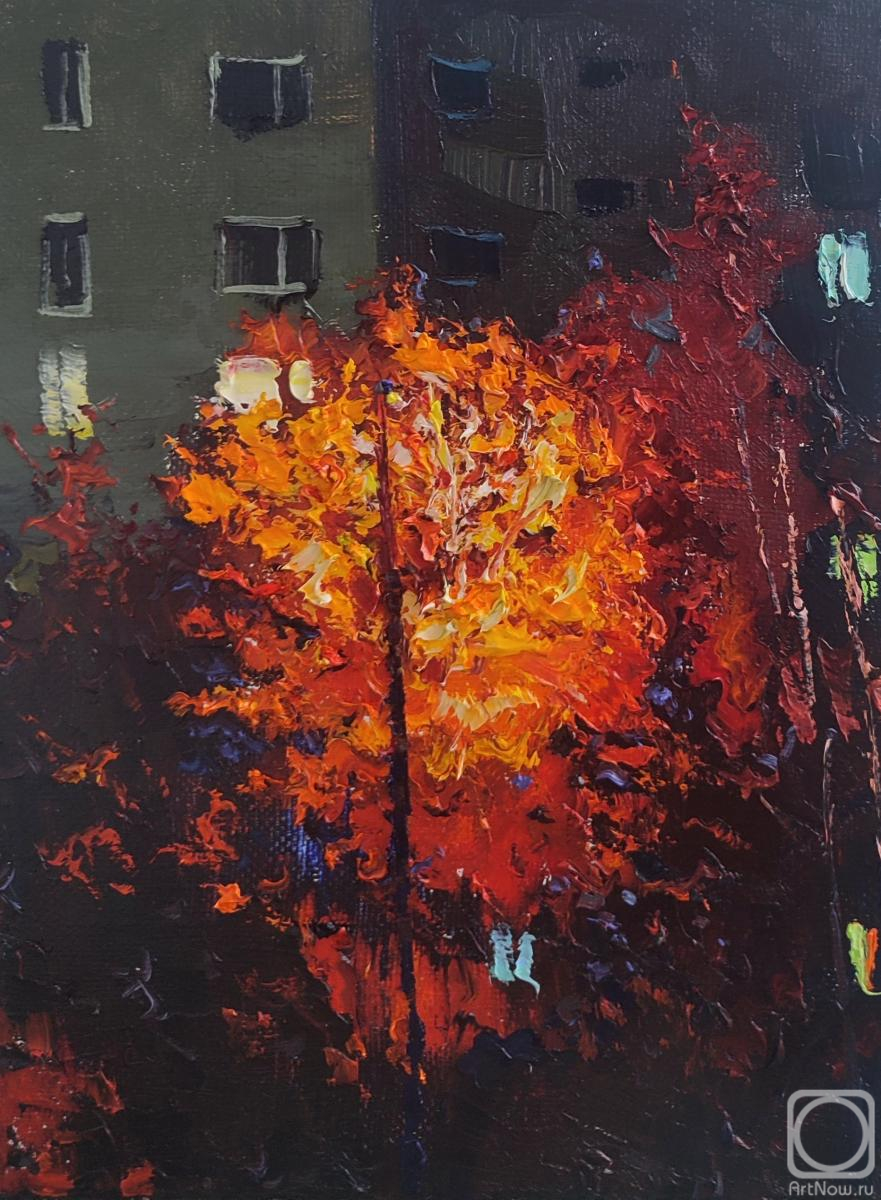 ������� ������ �� ������. ���������� �������. ������ ���� ����