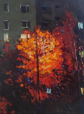 ������ ���� ����. ���������� �������