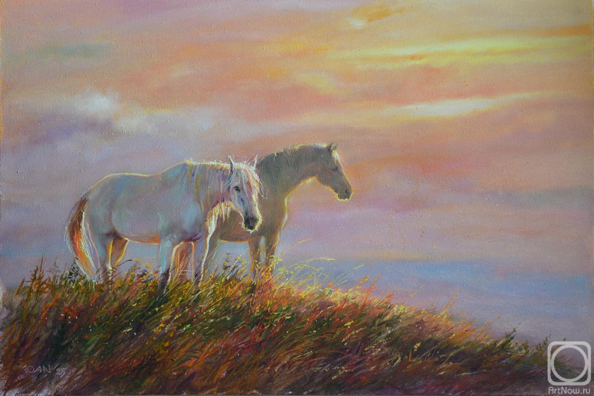 ������� ������ �� ������. ���������� ����. �� ���� ����