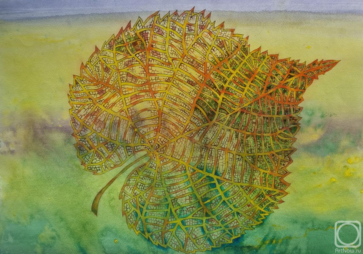 �������. �������� �����. ������� ���� 2