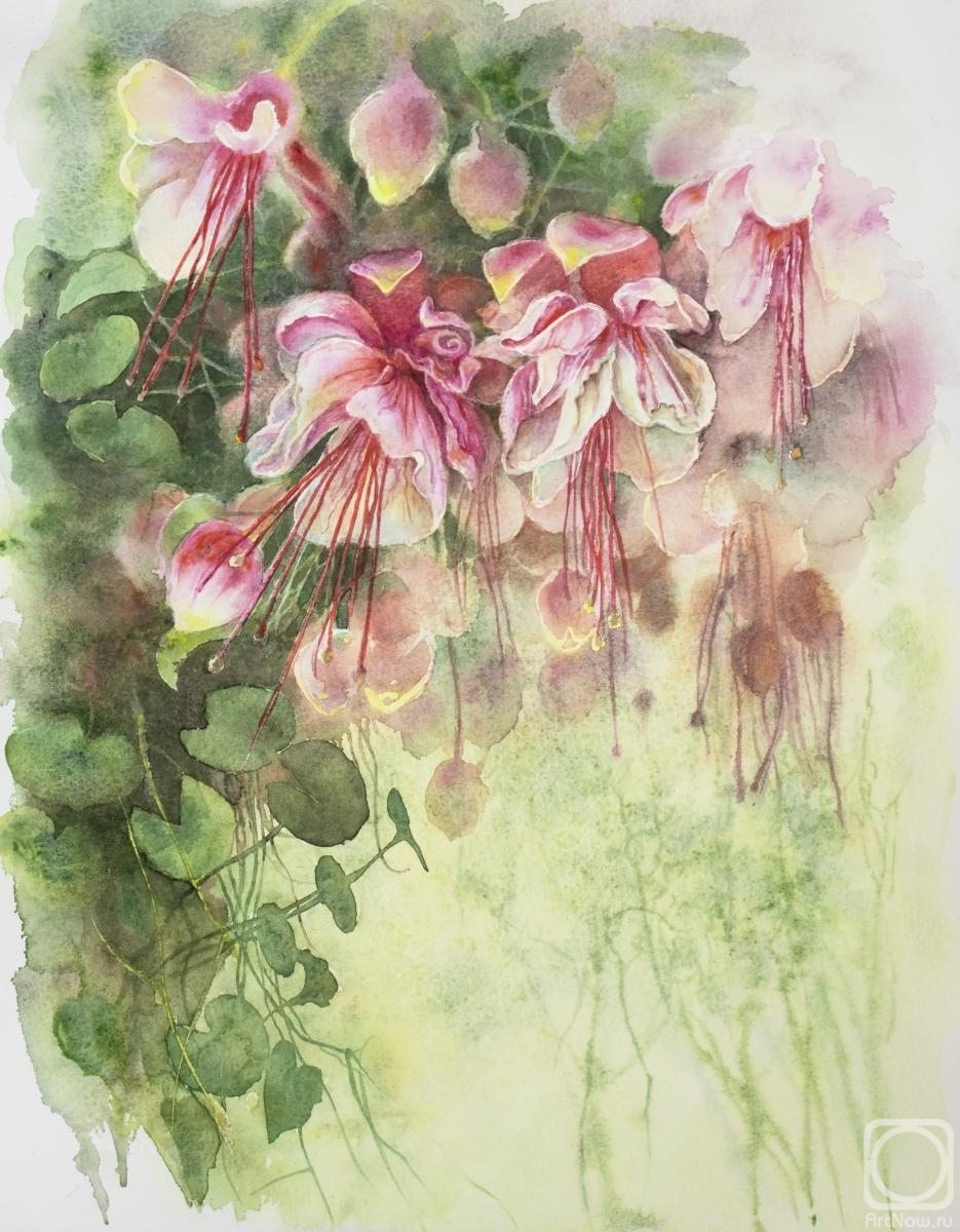 �������. �������� ����. ������