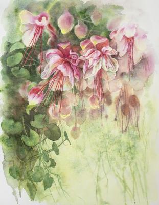 ������� ��������