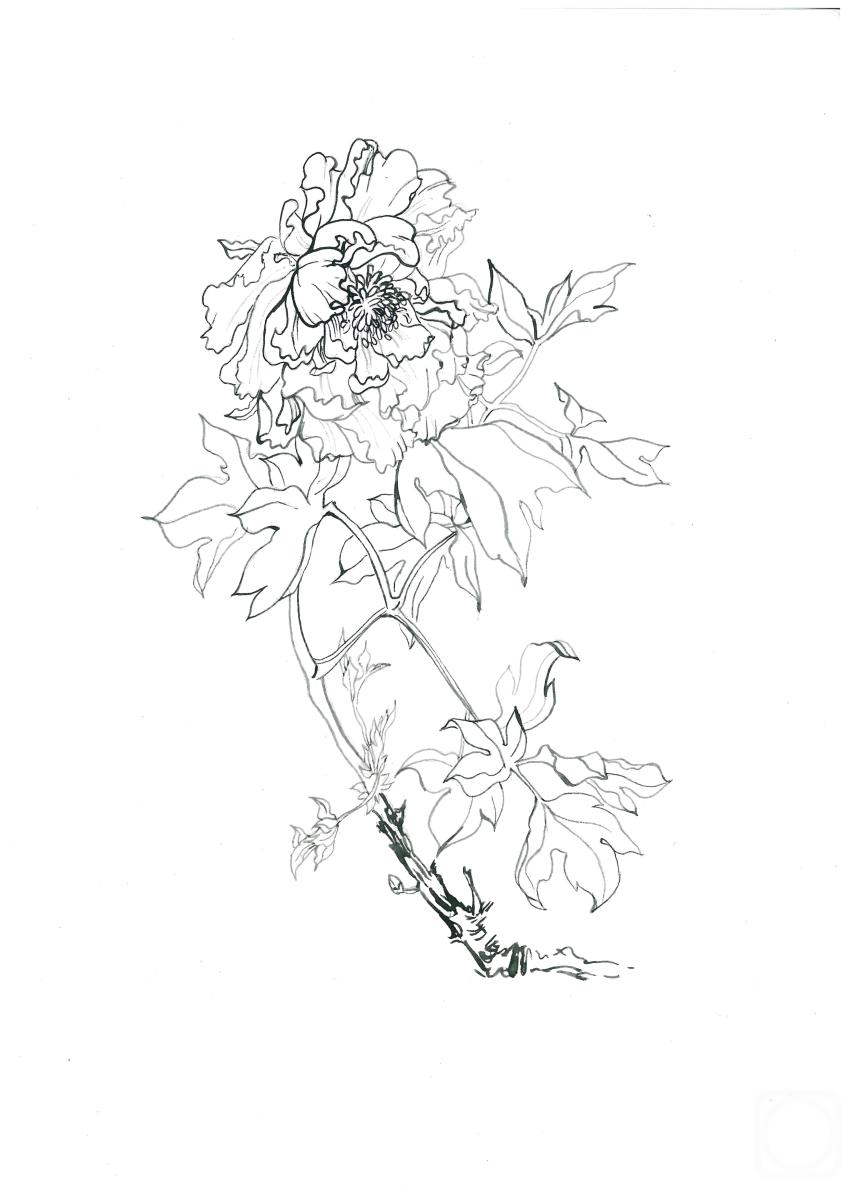 �������. ������� ����. ����� ����, ��������� ������� �����