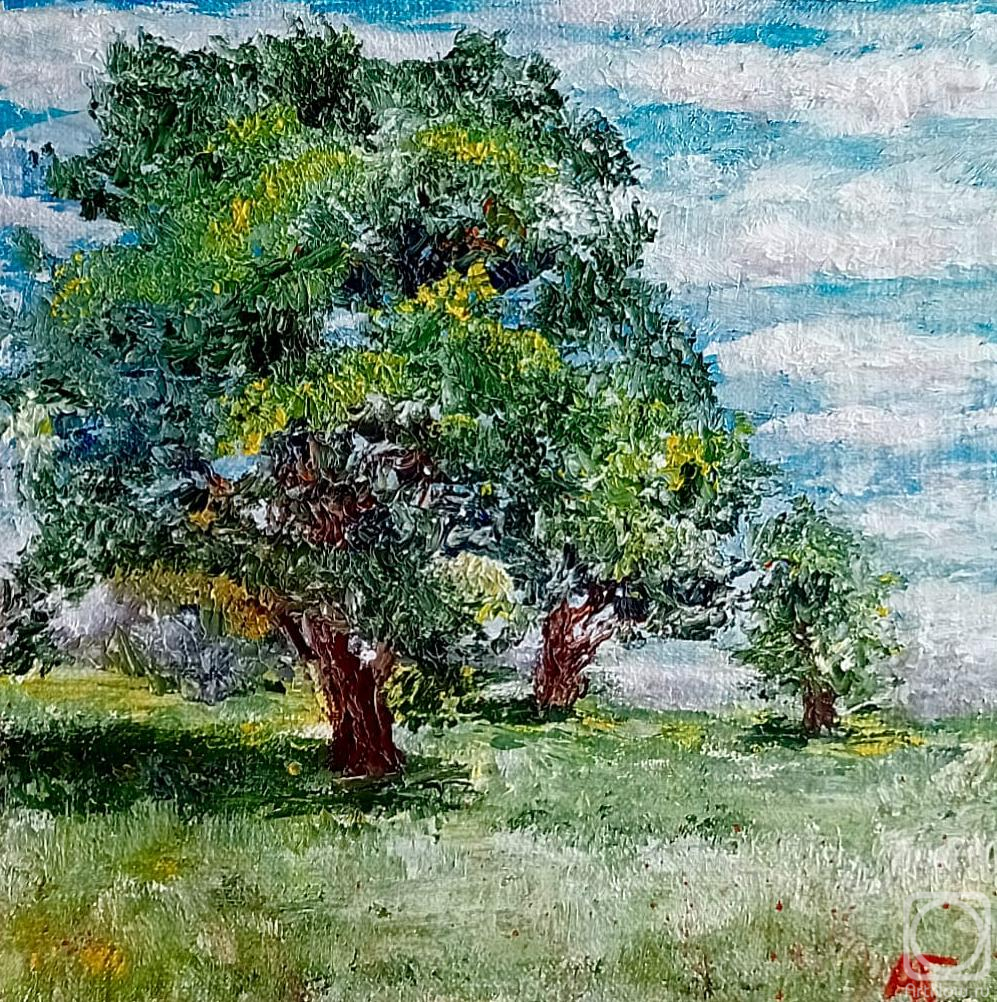 ������� ������ �� ������. ������ ������. ��� ����