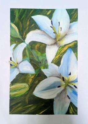 �����. ������ ��������