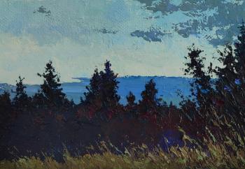 ������� ���� ���������