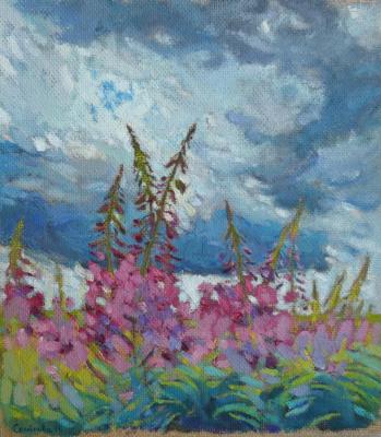 Field. Ivan-tea. Semyonova Natalya