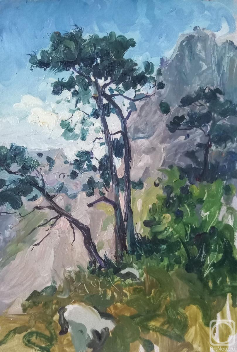 �������. ���������� ������. � �������� �����