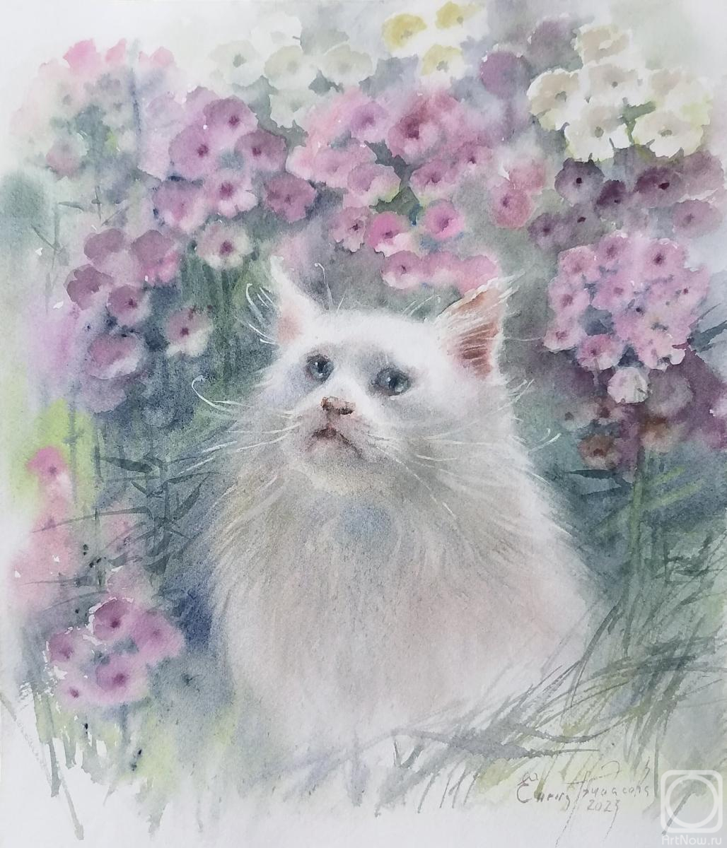 �������. ��������� �����. ����� � ������