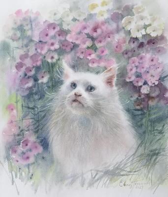 ����� � ������ (�������� ���������). ��������� �����