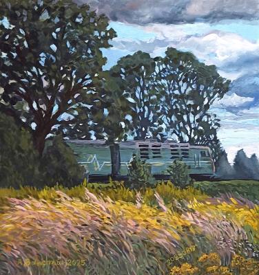 ������� �20250817�