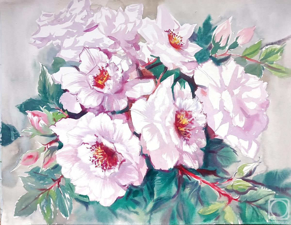 Mikhalskaya Katya. Untitled