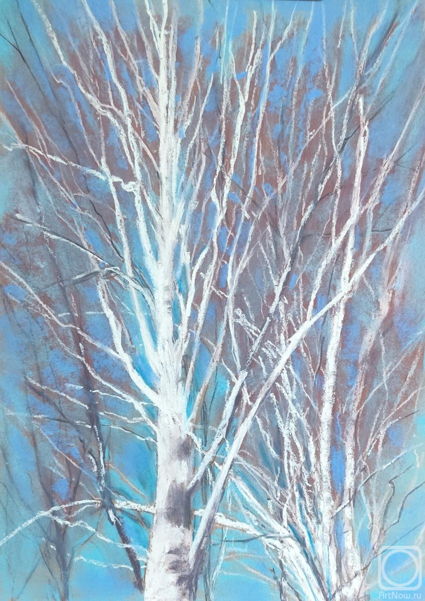 �������. ������� ��������. ������ �� ������������