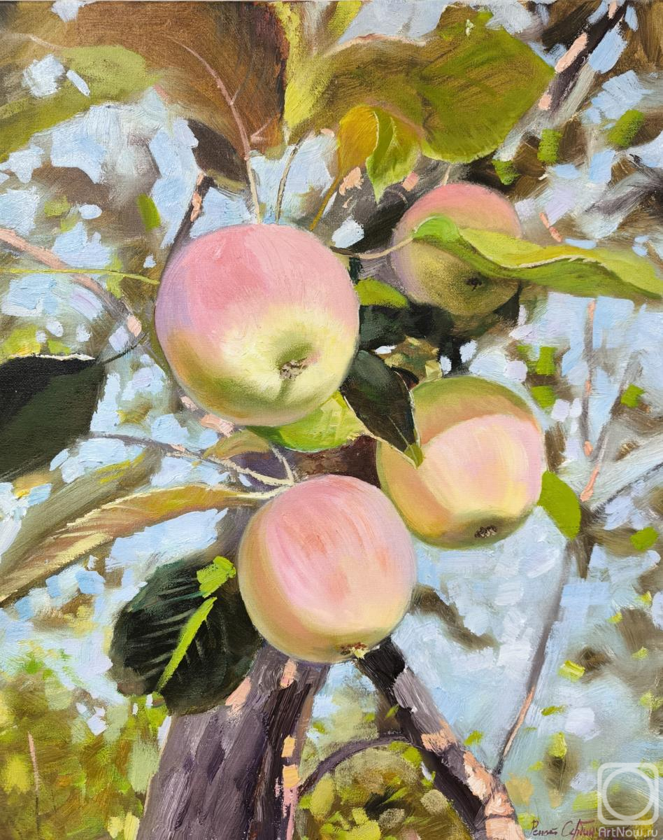 ������� ������ �� ������. ������ �����. �������