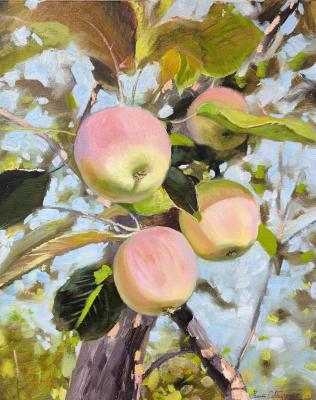 ������� ��������