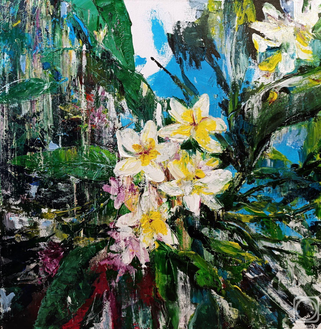 �������. �������� ������. ����������� �����