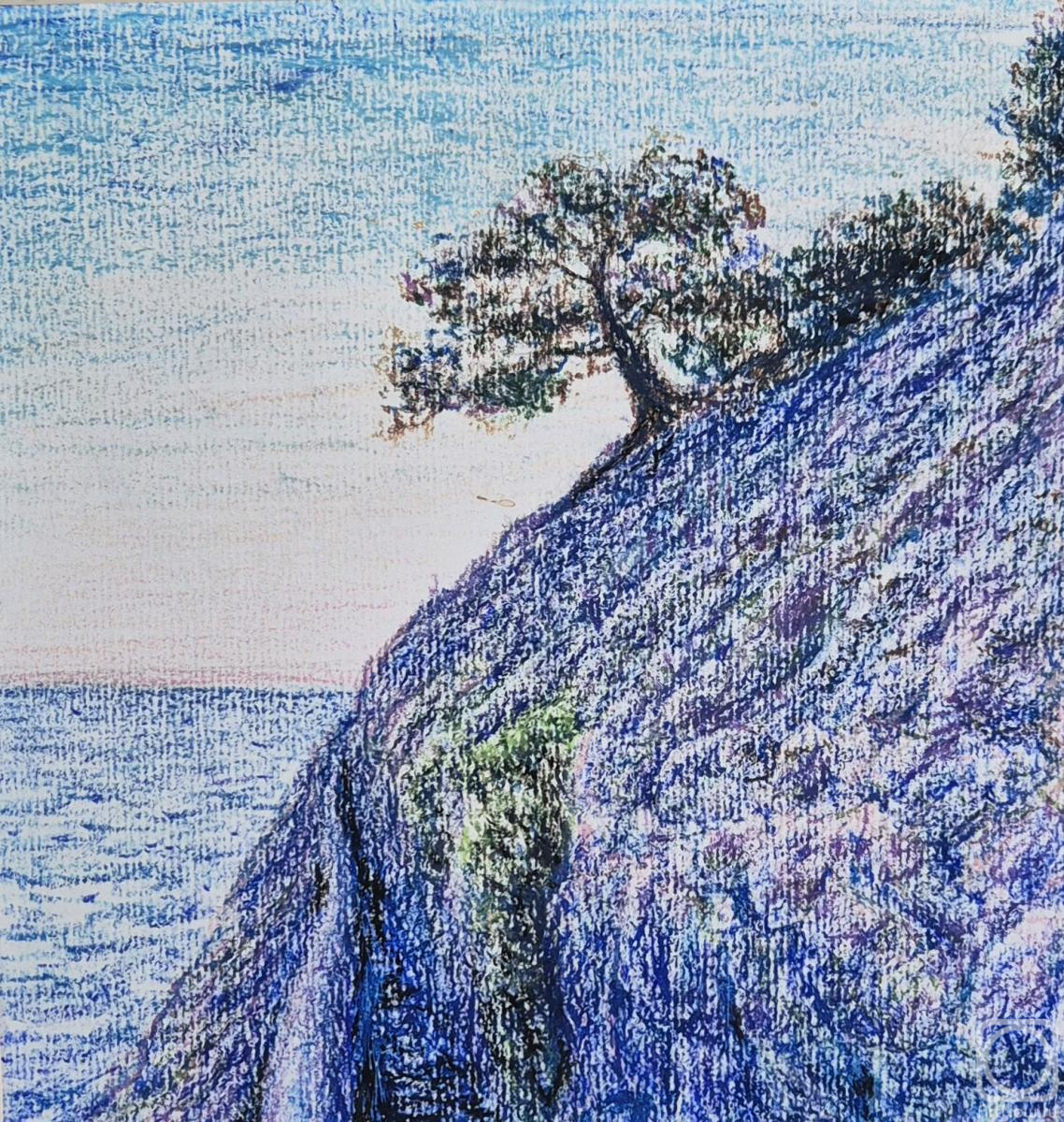 �������. ���������� ���������. ����. ����� �������� � ��������