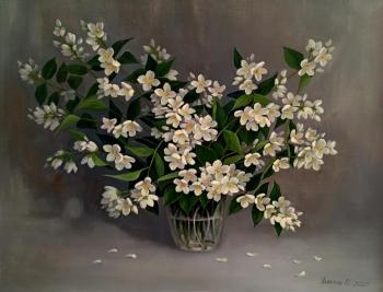 ����� �������. �������� �����