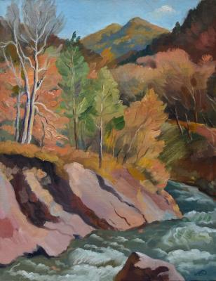 ���� �����