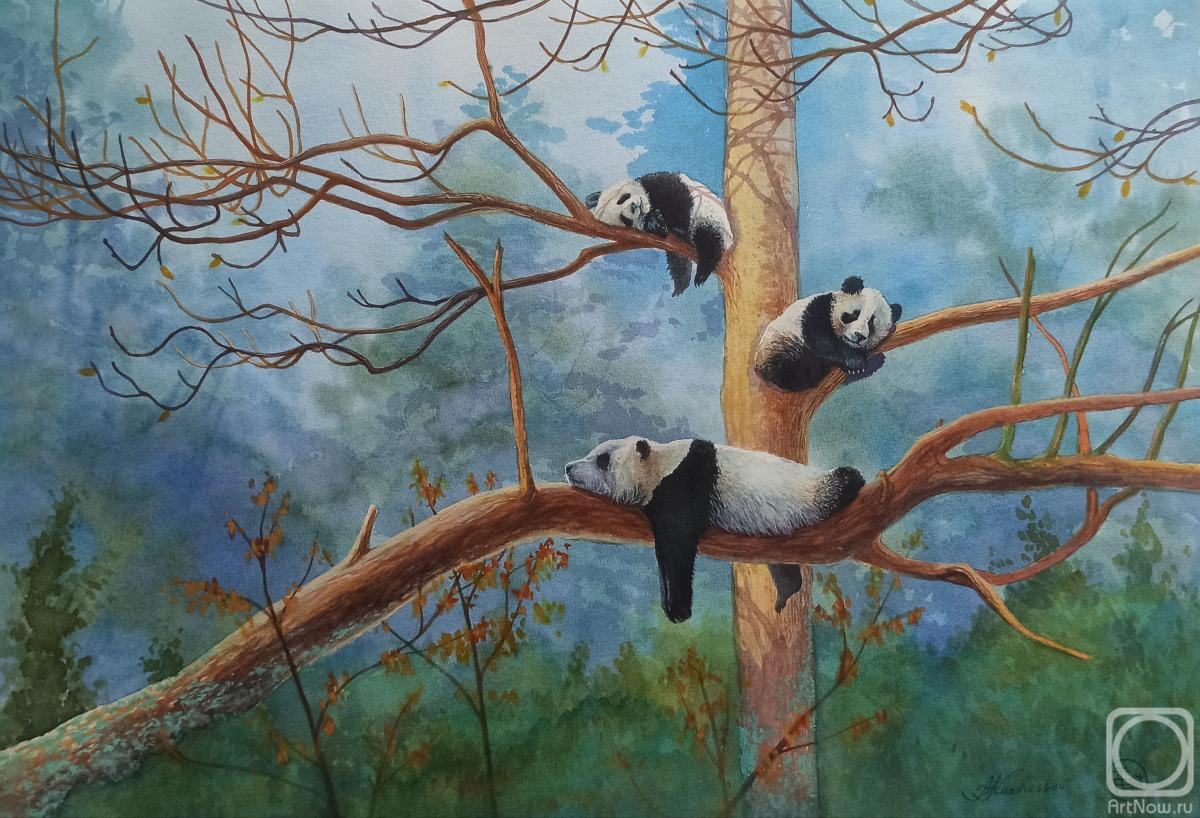 �������. ������� ���������. � �������� � ������