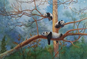 ������� �� �������� � ������