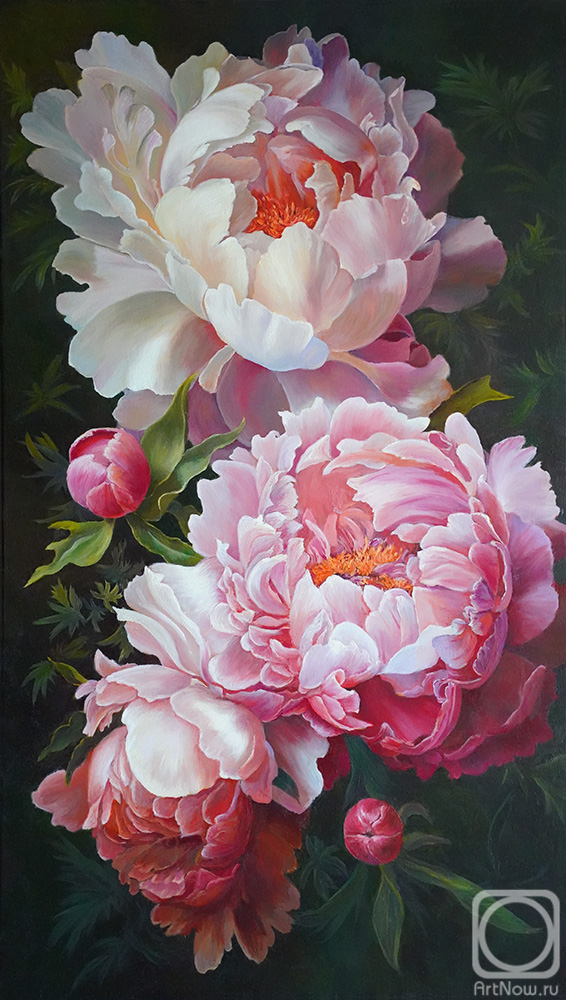 ������� ������ �� ������. �������� ���������. �����