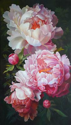 �����. �������� ���������