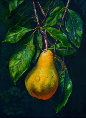 �����. �������� ���������